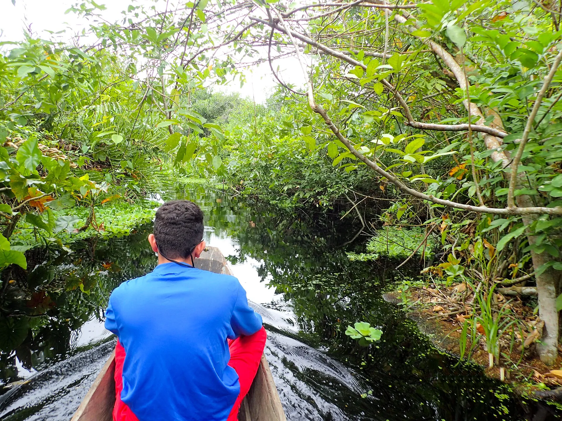 Canal de manglar en la bahía de Cispatá